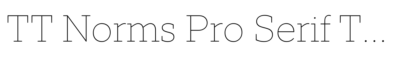 TT Norms Pro Serif Thin